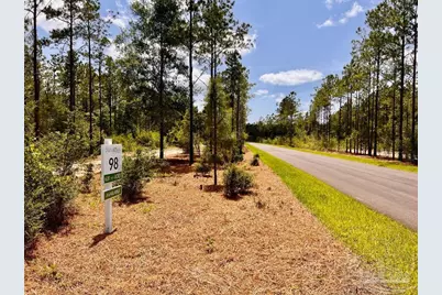 Lot 98 Turning Leaf Rd, Jay, FL 32565 - Photo 3