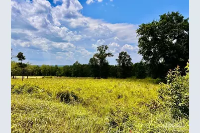 Lot 38 Br Buffalo Ridge Rd, Pace, FL 32571 - Photo 11