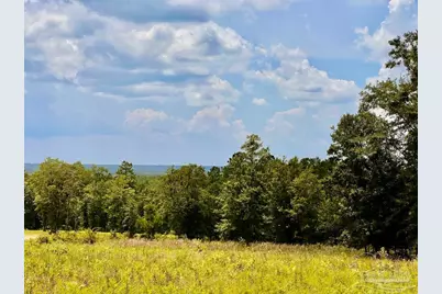 Lot 38 Br Buffalo Ridge Rd, Pace, FL 32571 - Photo 7