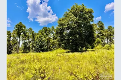 Lot 38 Br Buffalo Ridge Rd, Pace, FL 32571 - Photo 15