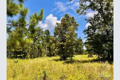 Lot 38 Br Buffalo Ridge Rd, Pace, FL 32571 - Photo 21