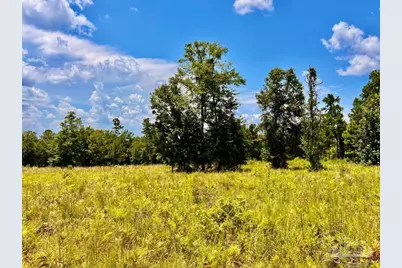 Lot 38 Br Buffalo Ridge Rd, Pace, FL 32571 - Photo 17