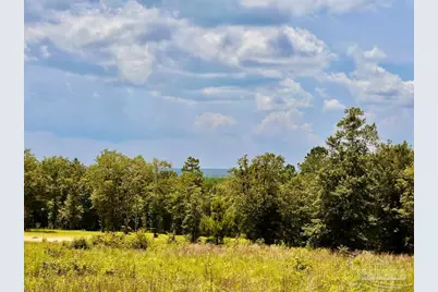 Lot 38 Br Buffalo Ridge Rd, Pace, FL 32571 - Photo 13