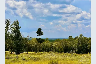 Lot 38 Br Buffalo Ridge Rd, Pace, FL 32571 - Photo 3