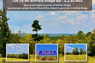 Lot 38 Br Buffalo Ridge Rd, Pace, FL 32571 - Photo 1