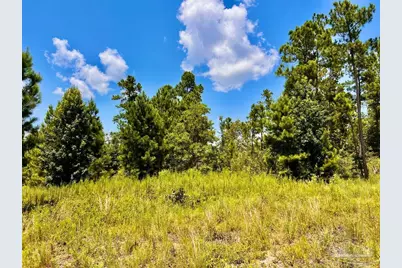 Lot 38 Br Buffalo Ridge Rd, Pace, FL 32571 - Photo 19