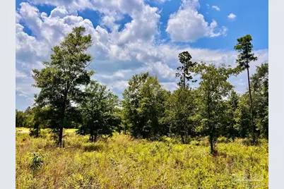 Lot 38 Br Buffalo Ridge Rd, Pace, FL 32571 - Photo 23