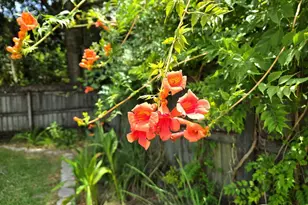 1908 Joshua Dr, Pensacola, FL 32533 - Photo 35