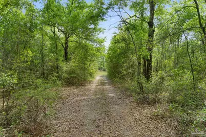 Lot 15 Peaceful Ln, Milton, FL 32570 - Photo 15