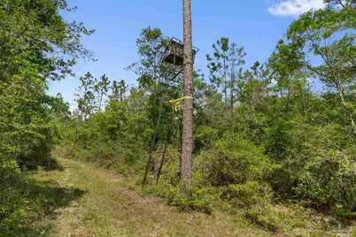 Lot 15 Peaceful Ln, Milton, FL 32570 - Photo 17