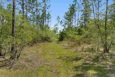 Lot 15 Peaceful Ln, Milton, FL 32570 - Photo 17