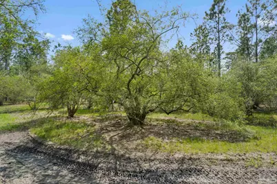 Lot 15 Peaceful Ln, Milton, FL 32570 - Photo 19