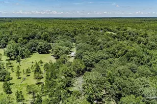 4156 James Jernigan Rd, Jay, FL 32565 - Photo 31