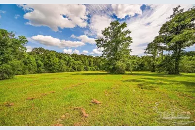 4890 Lemon Rd, Walnut Hill, FL 32568 - Photo 13