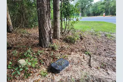 Hwy 4, Jay, FL 32565 - Photo 15