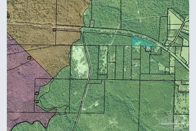 Hwy 4, Jay, FL 32565 - Photo 27