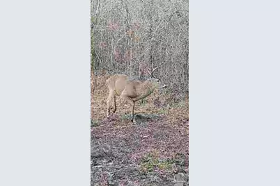 5810 Colts Crossing Ln, Milton, FL 32570 - Photo 17