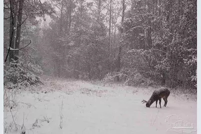 5810 Colts Crossing Ln, Milton, FL 32570 - Photo 15