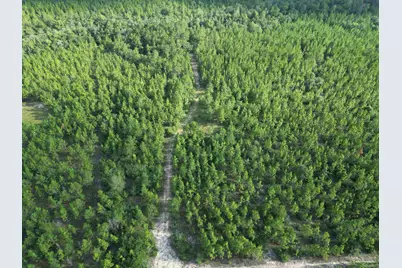 2561 Creek Chase Trl, Pace, FL 32571 - Photo 21