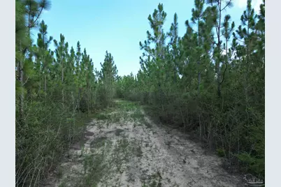 2561 Creek Chase Trl, Pace, FL 32571 - Photo 13