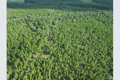 2561 Creek Chase Trl, Pace, FL 32571 - Photo 17