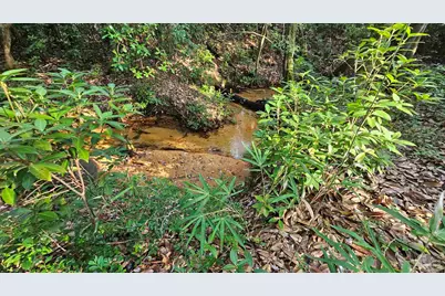 2561 Creek Chase Trl, Pace, FL 32571 - Photo 9