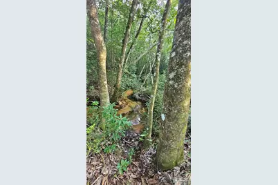 2561 Creek Chase Trl, Pace, FL 32571 - Photo 5