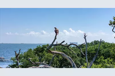 5161 Soundside Dr, Gulf Breeze, FL 32563 - Photo 35