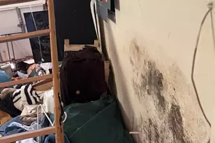 3084 Hwy 87, Navarre, FL 32566 - Photo 17