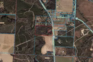 8501 Hwy 97, Walnut Hill, FL 32568 - Photo 55