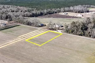 Lot 7 Hall Rd, Jay, FL 32565 - Photo 1