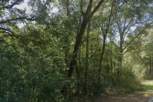 6214 Montgomery Ave, Pensacola, FL 32526 - Photo 1