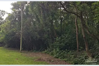 70 Juniper St, McDavid, FL 32568 - Photo 7