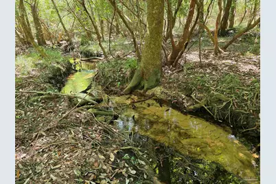 1130 Oak Ridge Trl, Cantonment, FL 32533 - Photo 15