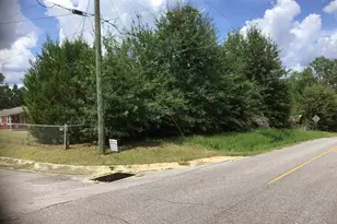 410 Hariston Rd, Molino, FL 32577 - Photo 11