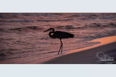 770 Sundial Ct #412, Fort Walton Beach, FL 32548 - Photo 41