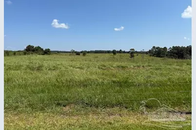 5880 S Hwy 99, McDavid, FL 32568 - Photo 3