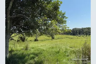 5880 S Hwy 99, McDavid, FL 32568 - Photo 7