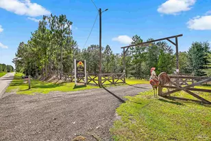 58203 Jack Springs Rd, Perdido, AL 36562 - Photo 3