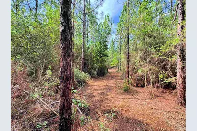 Parcel C Killian Dr, Jay, FL 32565 - Photo 13