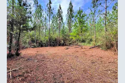 Parcel C Killian Dr, Jay, FL 32565 - Photo 15