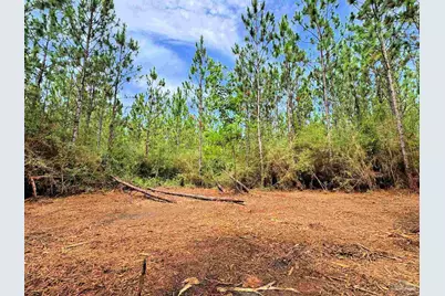 Parcel C Killian Dr, Jay, FL 32565 - Photo 17