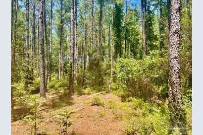 Parcel 4-Rs Hwy 182, Jay, FL 32565 - Photo 19