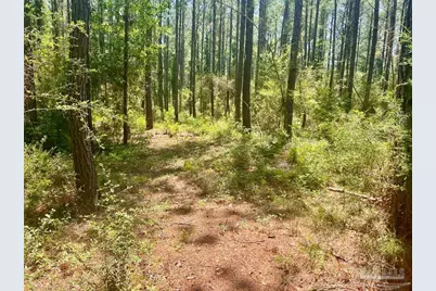 Parcel 4-Rs Hwy 182, Jay, FL 32565 - Photo 17