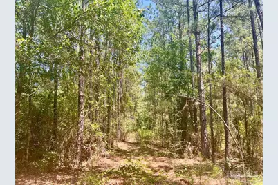 Parcel 4-Rs Hwy 182, Jay, FL 32565 - Photo 15