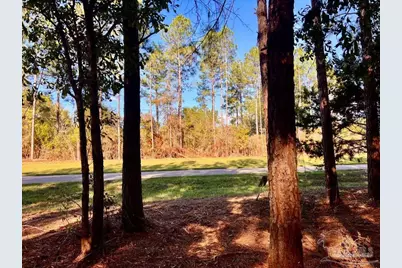 Parcel 4-Rs Hwy 182, Jay, FL 32565 - Photo 5