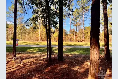 Parcel 4-Rs Hwy 182, Jay, FL 32565 - Photo 7