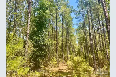 Parcel 4-Rs Hwy 182, Jay, FL 32565 - Photo 13