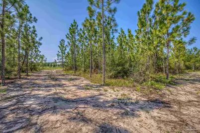 Lot 8 SW Waterfall St, Pace, FL 32571 - Photo 11