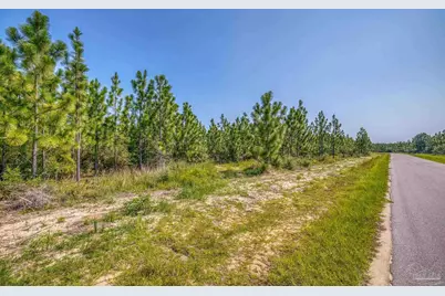 Lot 8 SW Waterfall St, Pace, FL 32571 - Photo 5
